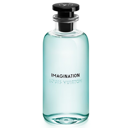 Imagination